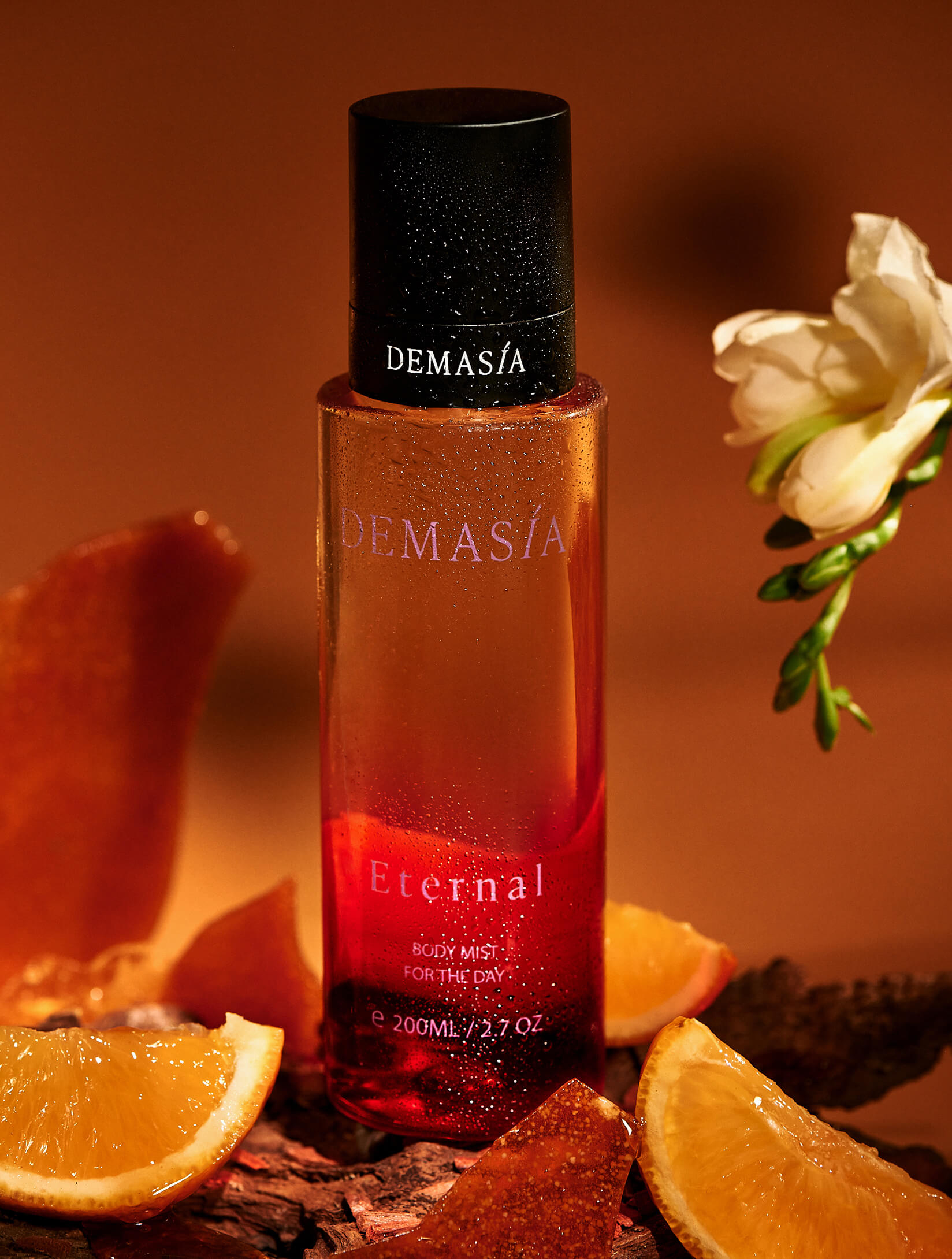 Descripción de la imagen