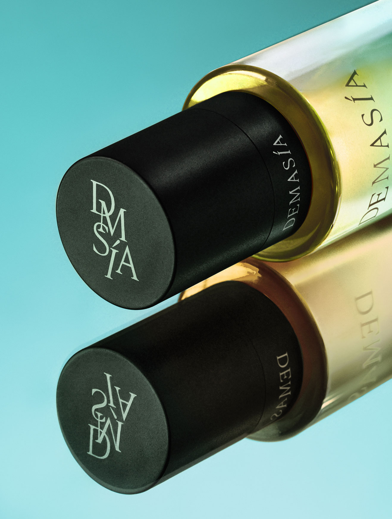 Descripción de la imagen