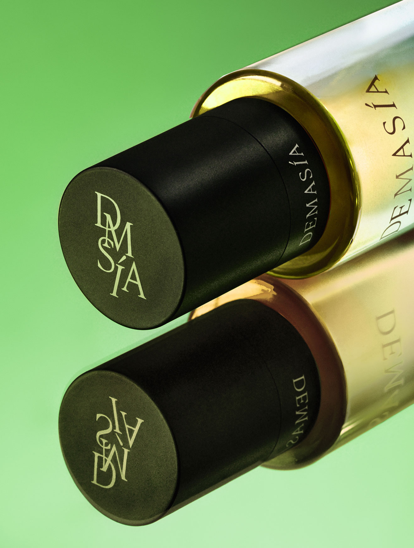 Descripción de la imagen